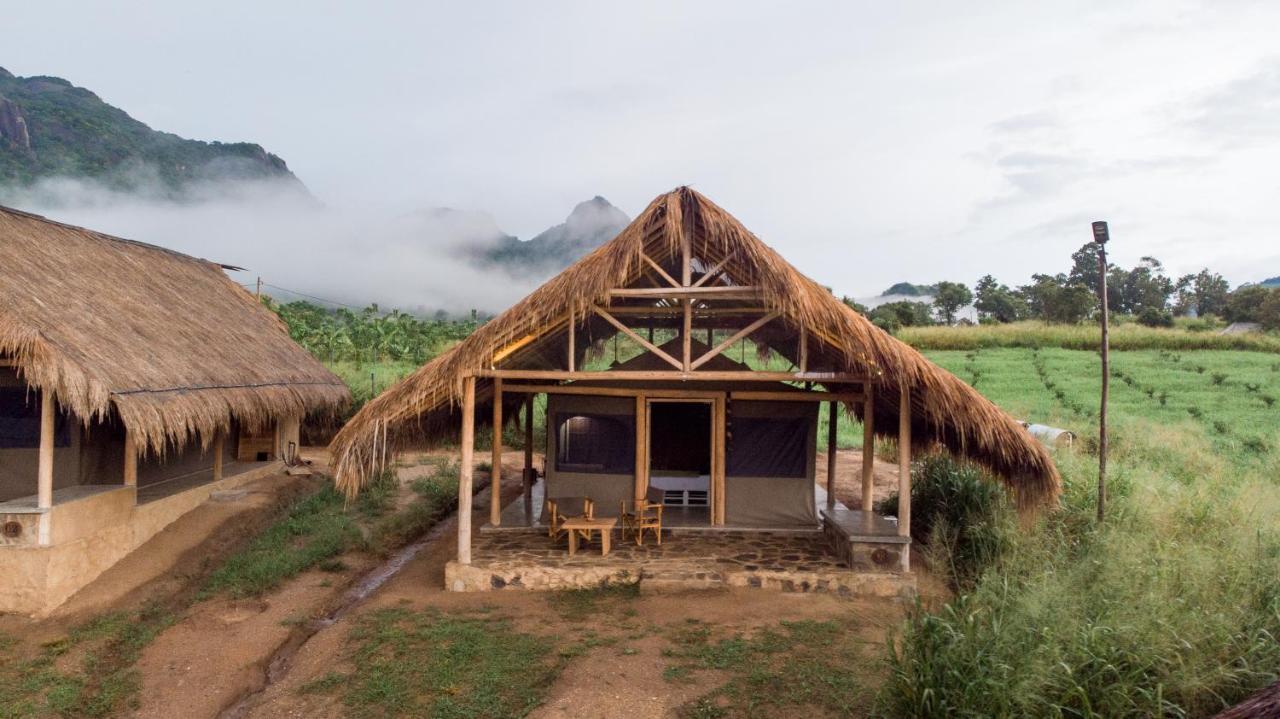 Wild Glamping Gal Oya - Thema Collection Hotel Galgamuwa  Exterior foto