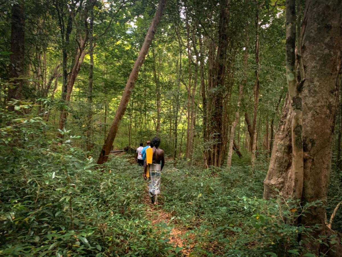 Wild Glamping Gal Oya - Thema Collection Hotel Galgamuwa  Exterior foto